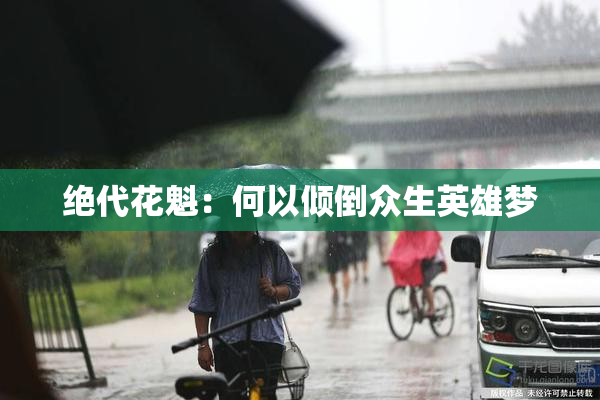 绝代花魁：何以倾倒众生英雄梦