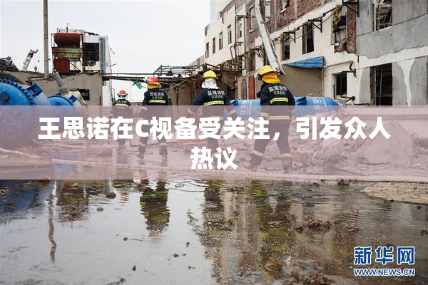 王思诺在C视备受关注，引发众人热议