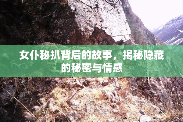 女仆秘扒背后的故事，揭秘隐藏的秘密与情感