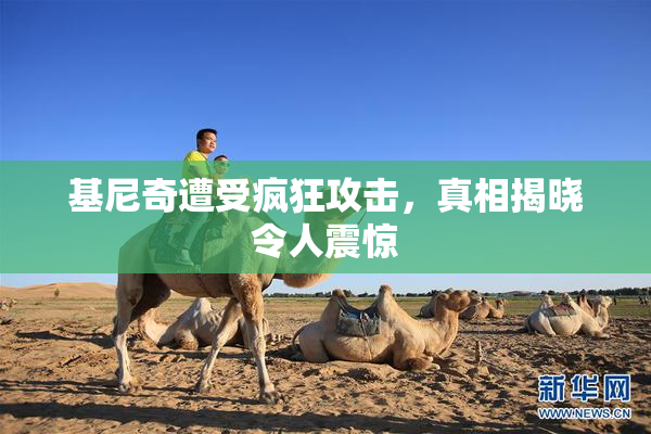 基尼奇遭受疯狂攻击，真相揭晓令人震惊