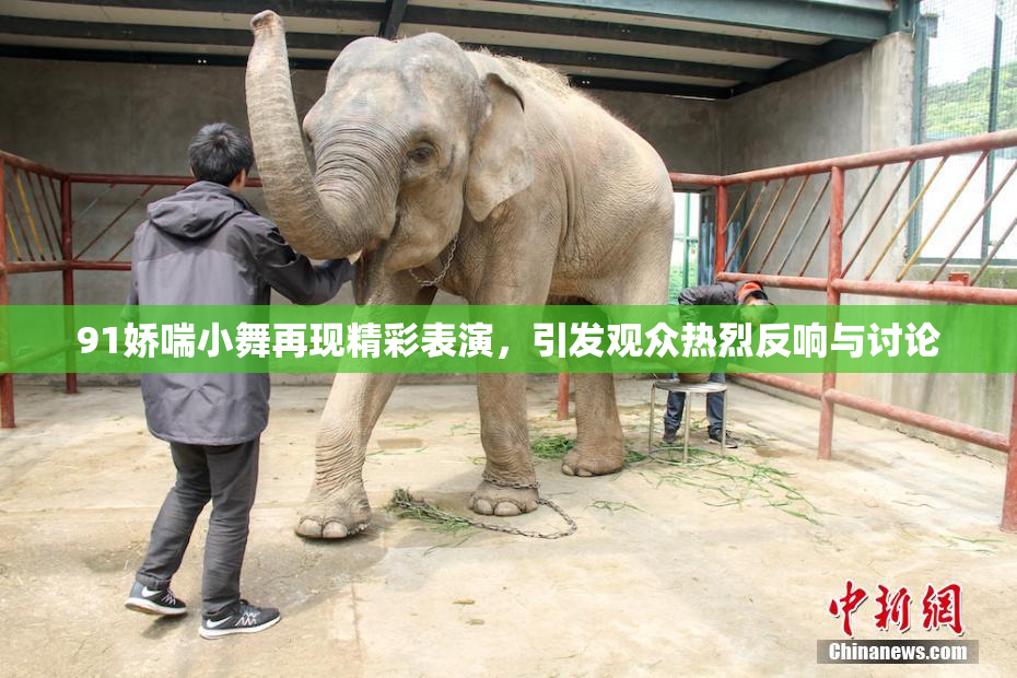 91娇喘小舞再现精彩表演，引发观众热烈反响与讨论