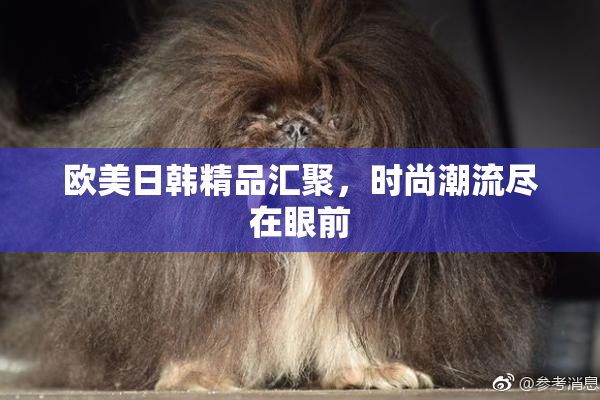 欧美日韩精品汇聚，时尚潮流尽在眼前