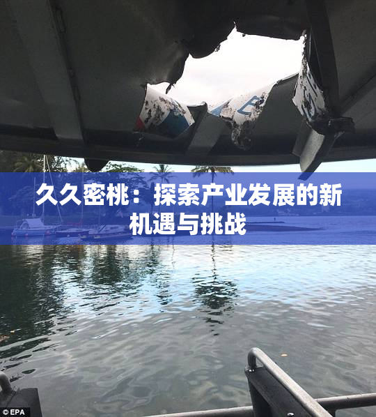 久久密桃：探索产业发展的新机遇与挑战
