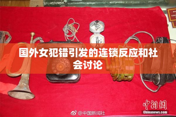 国外女犯错引发的连锁反应和社会讨论