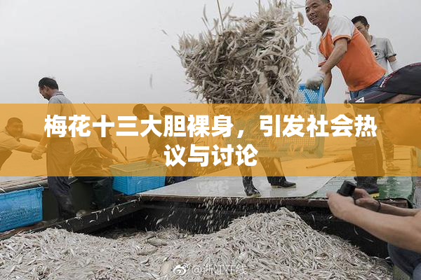 梅花十三大胆裸身，引发社会热议与讨论
