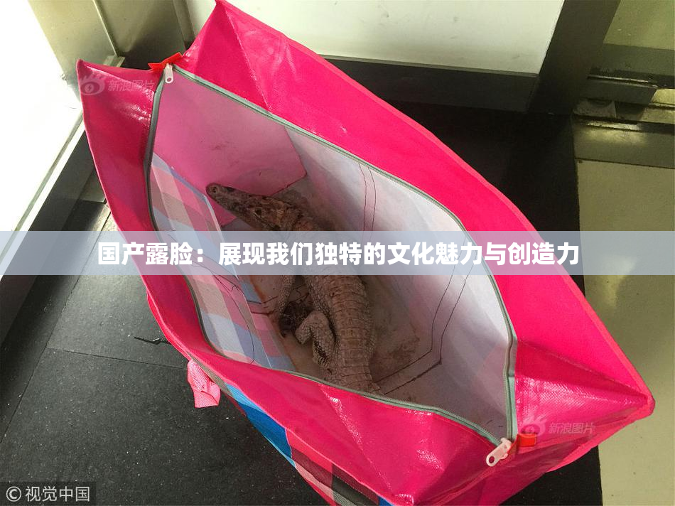 国产露脸：展现我们独特的文化魅力与创造力