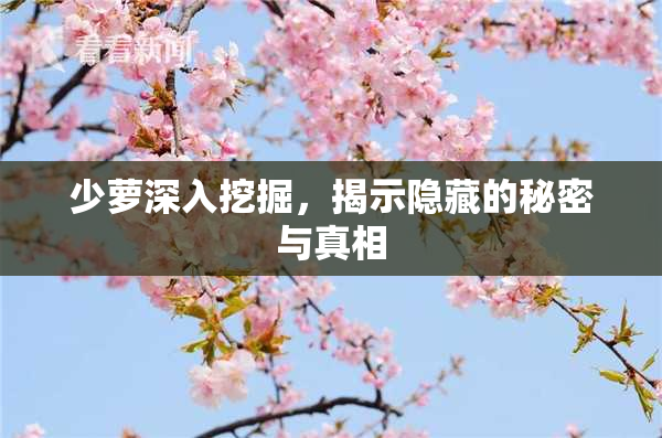 少萝深入挖掘，揭示隐藏的秘密与真相