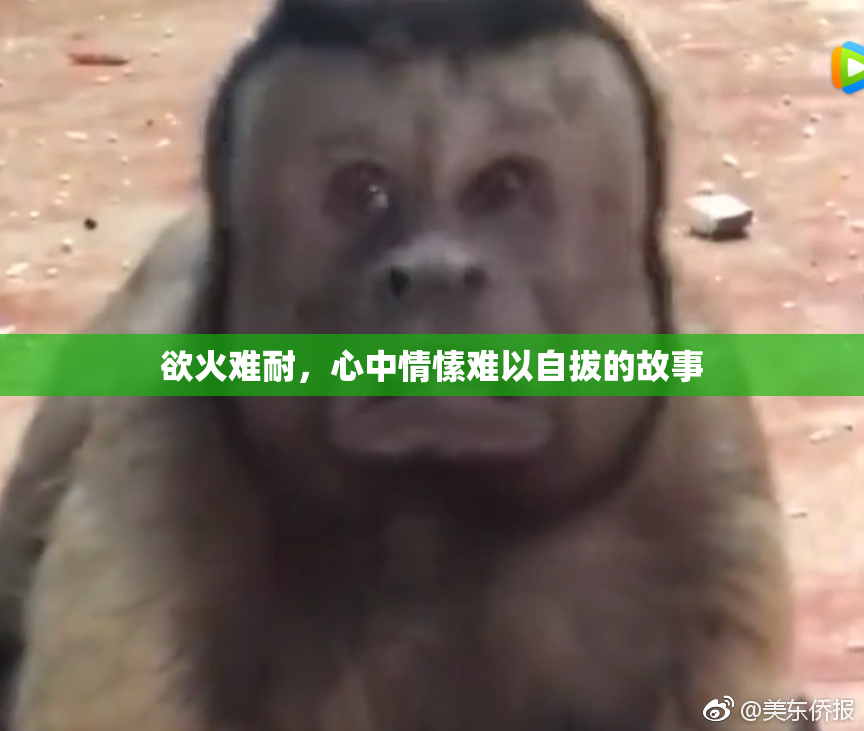 欲火难耐，心中情愫难以自拔的故事