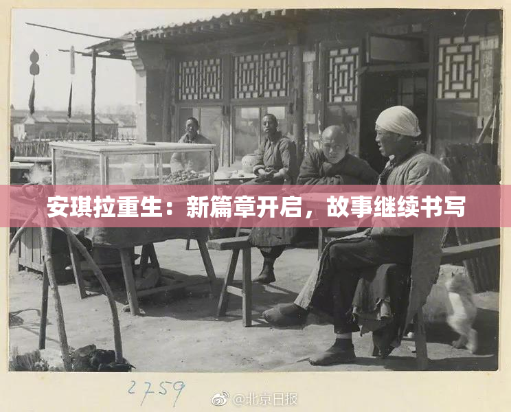 安琪拉重生：新篇章开启，故事继续书写