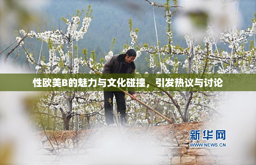 性欧美B的魅力与文化碰撞，引发热议与讨论