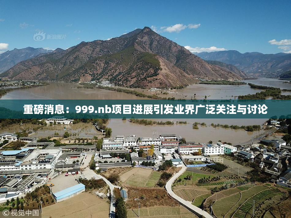 重磅消息：999.nb项目进展引发业界广泛关注与讨论