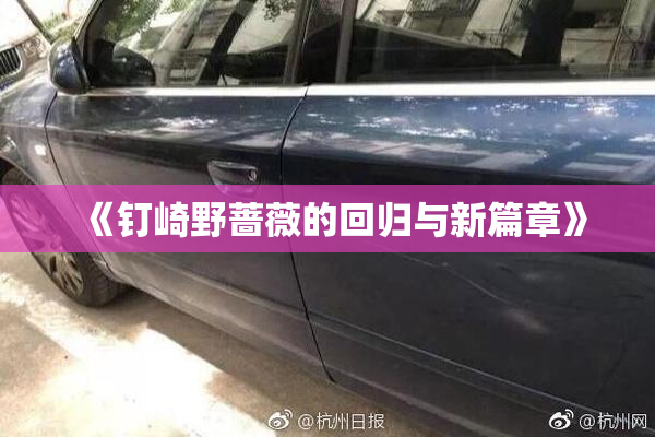 《钉崎野蔷薇的回归与新篇章》