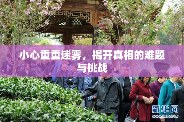 小心重重迷雾，揭开真相的难题与挑战