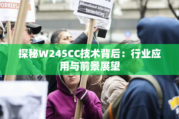 探秘W245CC技术背后：行业应用与前景展望