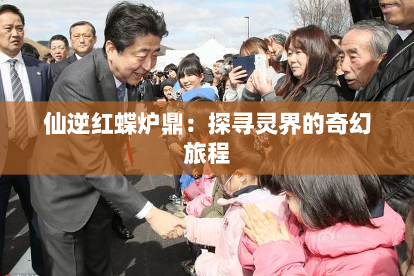 仙逆红蝶炉鼎：探寻灵界的奇幻旅程