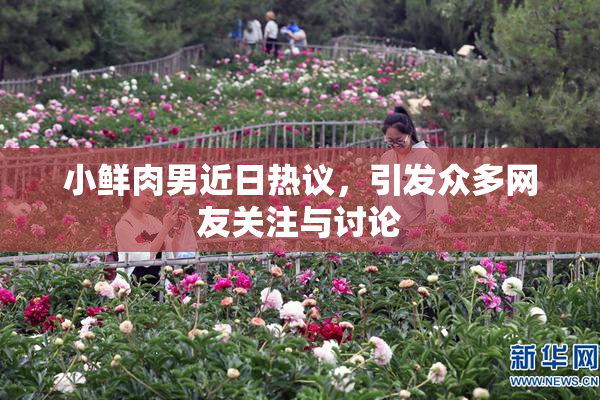 小鲜肉男近日热议，引发众多网友关注与讨论