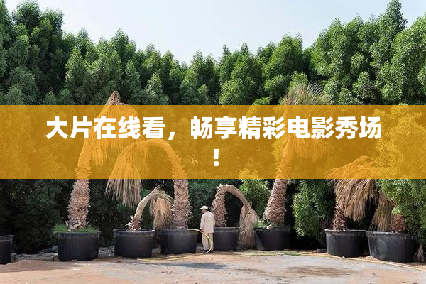 大片在线看，畅享精彩电影秀场！