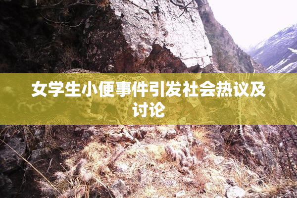 女学生小便事件引发社会热议及讨论