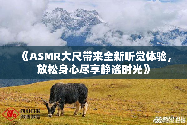 《ASMR大尺带来全新听觉体验，放松身心尽享静谧时光》