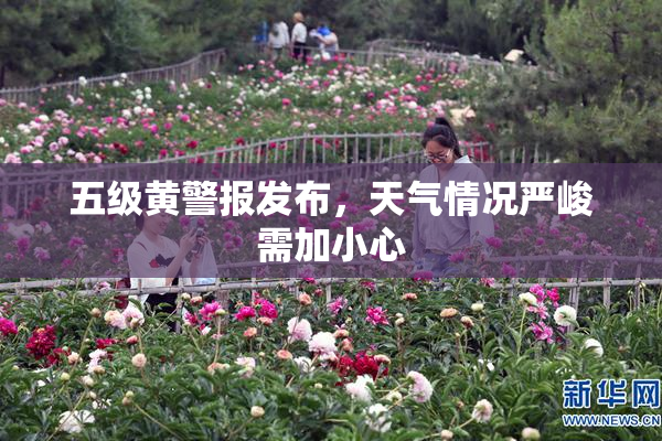 五级黄警报发布，天气情况严峻需加小心