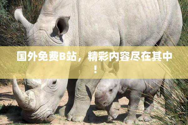 国外免费B站，精彩内容尽在其中！