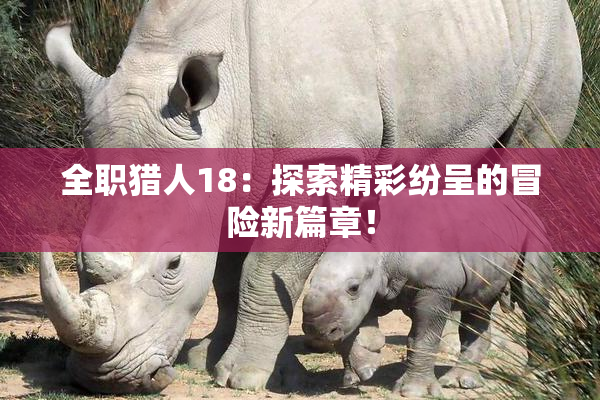 全职猎人18：探索精彩纷呈的冒险新篇章！