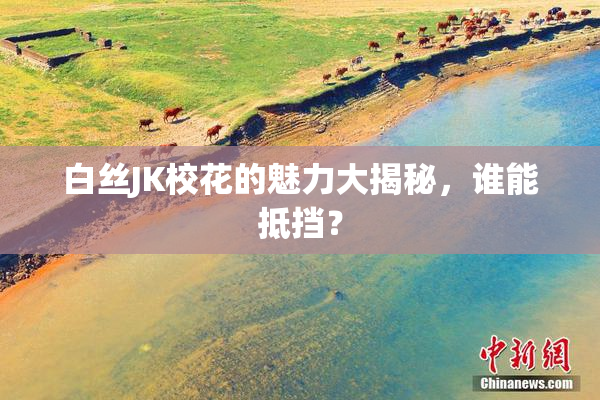 白丝JK校花的魅力大揭秘，谁能抵挡？