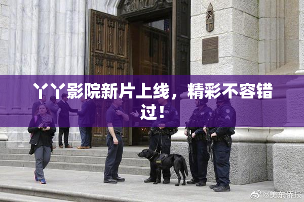 丫丫影院新片上线，精彩不容错过！