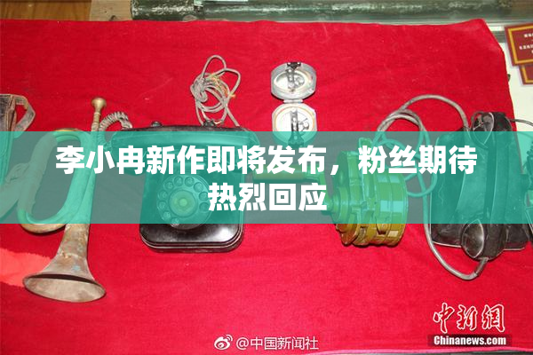 李小冉新作即将发布，粉丝期待热烈回应