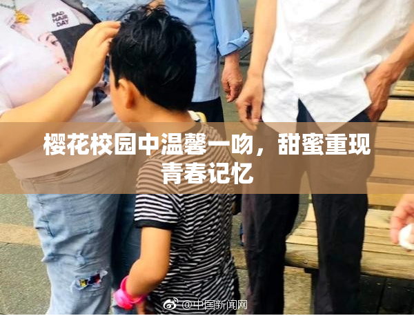 樱花校园中温馨一吻，甜蜜重现青春记忆