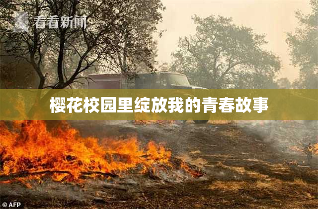 樱花校园里绽放我的青春故事