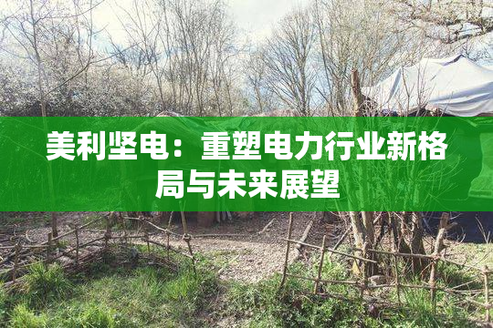 美利坚电：重塑电力行业新格局与未来展望