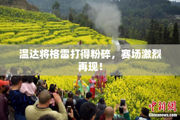 温达将格雷打得粉碎，赛场激烈再现！