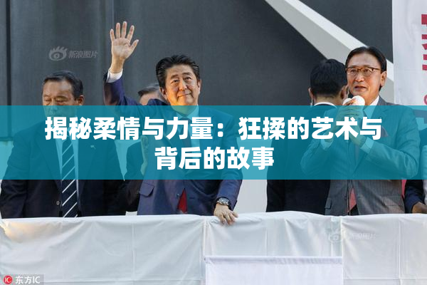 揭秘柔情与力量：狂揉的艺术与背后的故事