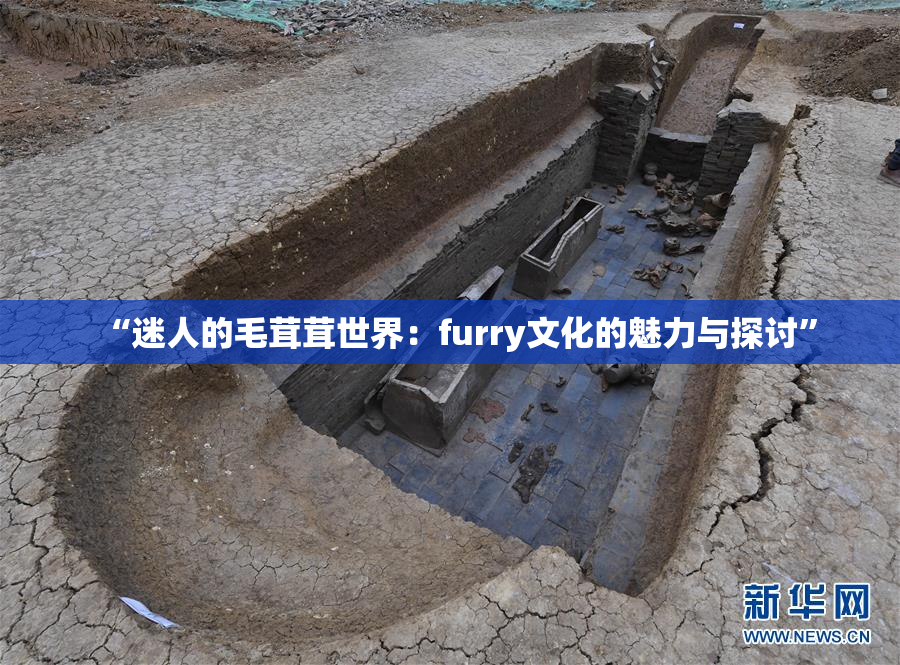 “迷人的毛茸茸世界：furry文化的魅力与探讨”
