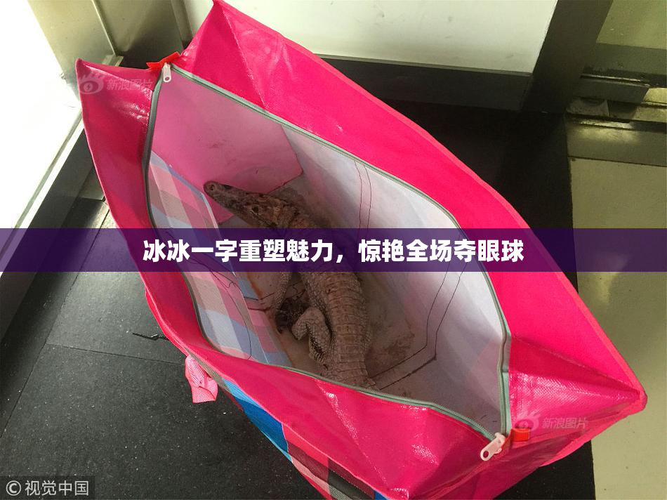 冰冰一字重塑魅力，惊艳全场夺眼球