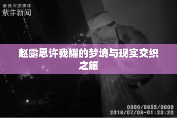 赵露思许我耀的梦境与现实交织之旅