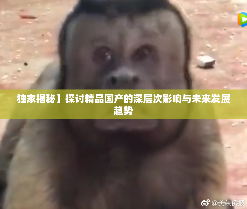 独家揭秘】探讨精品国产的深层次影响与未来发展趋势