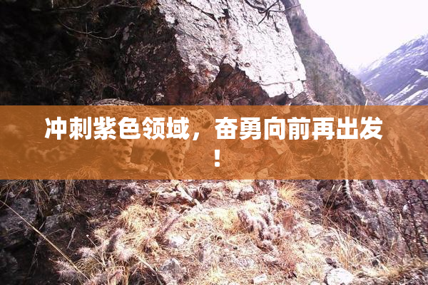 冲刺紫色领域，奋勇向前再出发！