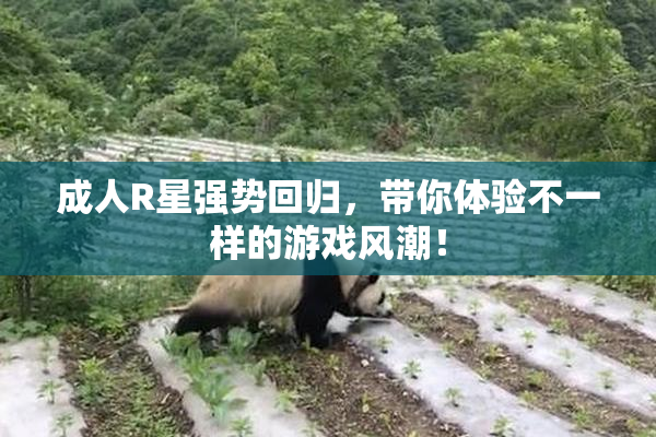 成人R星强势回归，带你体验不一样的游戏风潮！