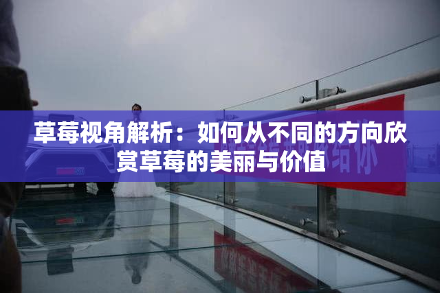 草莓视角解析：如何从不同的方向欣赏草莓的美丽与价值