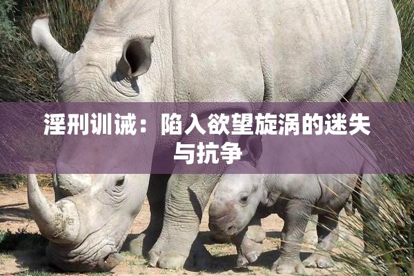 淫刑训诫：陷入欲望旋涡的迷失与抗争