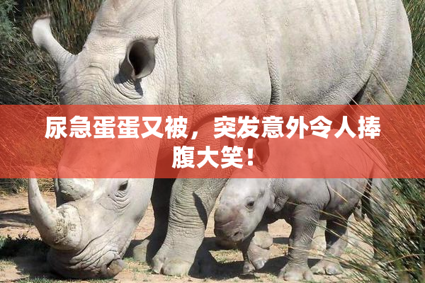 尿急蛋蛋又被，突发意外令人捧腹大笑！