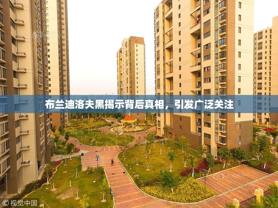 布兰迪洛夫黑揭示背后真相，引发广泛关注