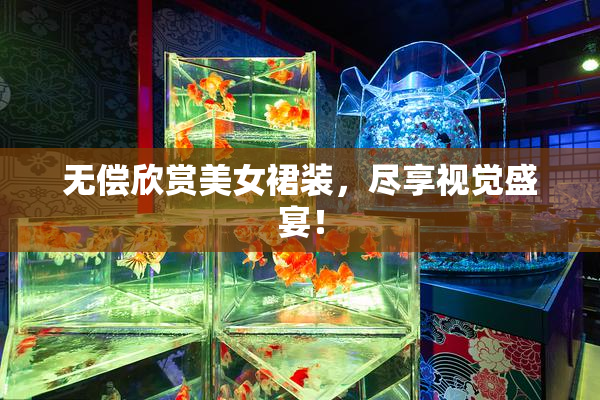 无偿欣赏美女裙装，尽享视觉盛宴！