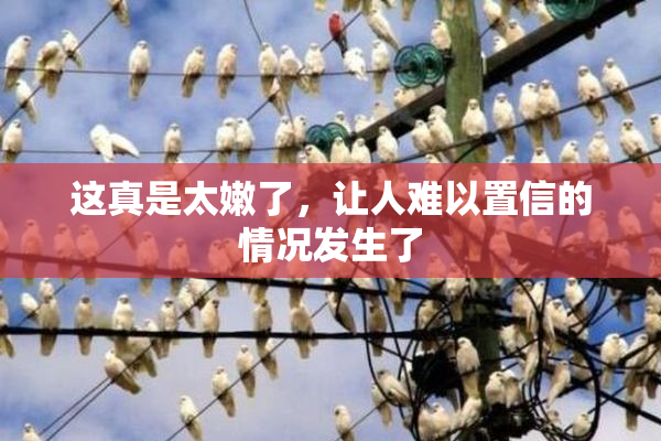这真是太嫩了，让人难以置信的情况发生了