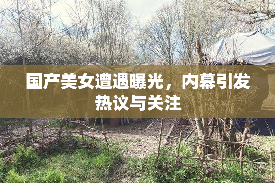 国产美女遭遇曝光，内幕引发热议与关注