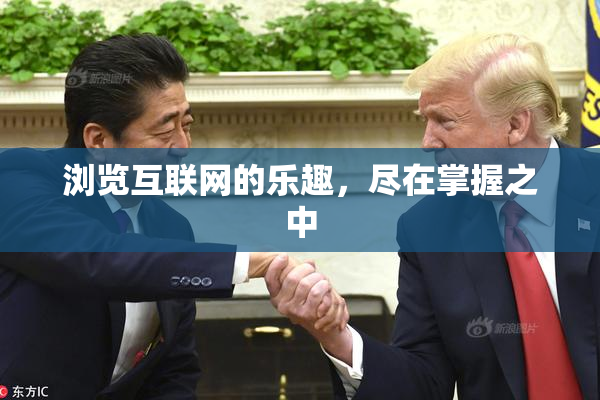 浏览互联网的乐趣，尽在掌握之中