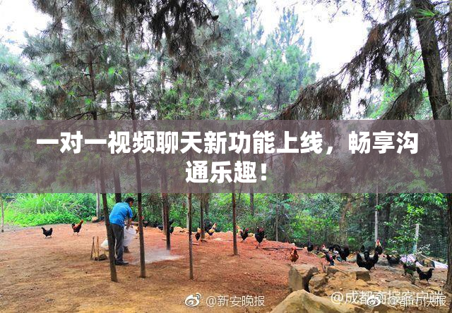 一对一视频聊天新功能上线，畅享沟通乐趣！