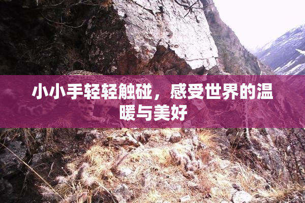 小小手轻轻触碰，感受世界的温暖与美好